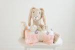 Plum Bunny with infant blanket
