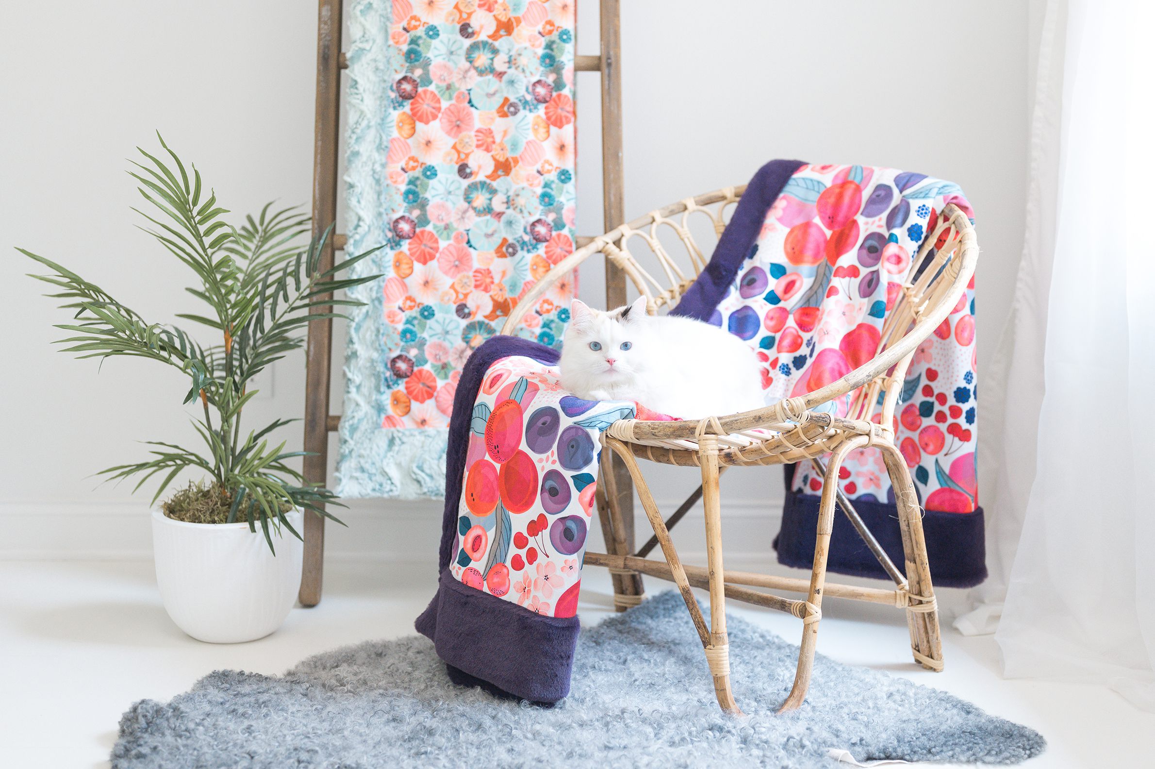 Custom Minky Blanket Request